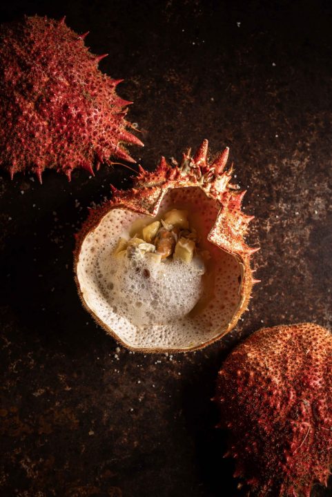 Charles Neyers Philippine Jaillet