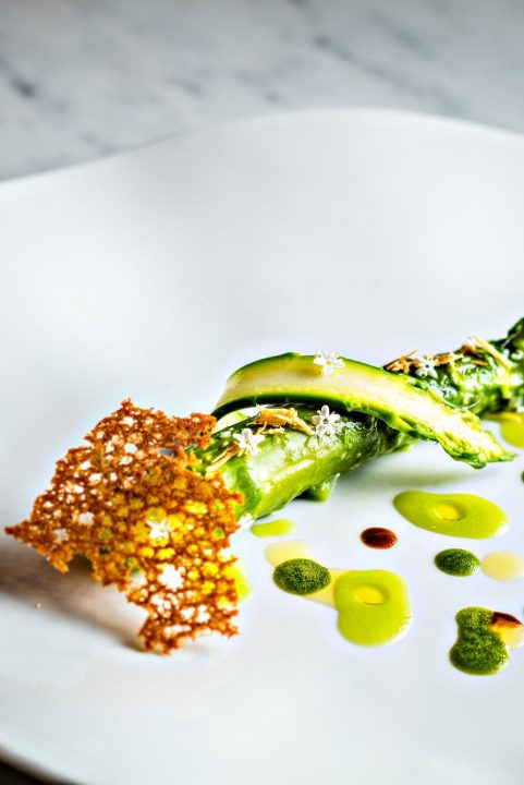 Stéphanie Le Quellec