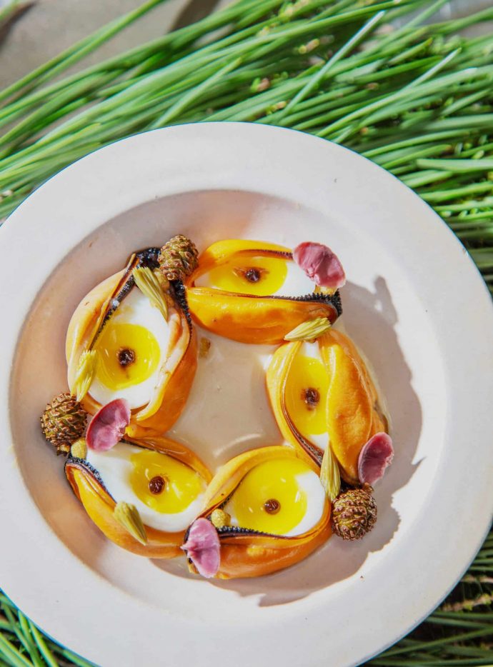 Paris, le 8 Novembre 2024. Clotaire Poirier, cuisine aux épicéas, Moules ouvertes au beurre fumé au épine de pin des Landes, Œuf de caille, garum de moule, Huile de bois d'épicéa, Pomme de pin nobilis en pickle, Pomme de pin sylvestre confit au miel, Fleurs de pin Sylvestre pickle et Jeune pousse d'épicéa en pickle