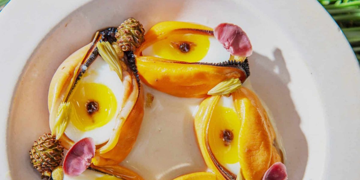 Paris, le 8 Novembre 2024. Clotaire Poirier, cuisine aux épicéas, Moules ouvertes au beurre fumé au épine de pin des Landes, Œuf de caille, garum de moule, Huile de bois d'épicéa, Pomme de pin nobilis en pickle, Pomme de pin sylvestre confit au miel, Fleurs de pin Sylvestre pickle et Jeune pousse d'épicéa en pickle