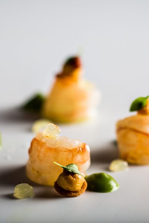 Stéphanie Le Quellec