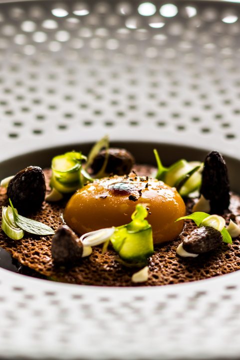 Stéphanie Le Quellec