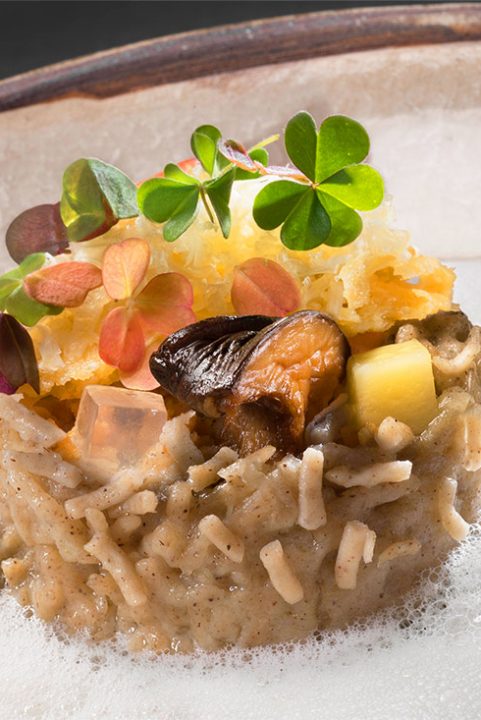 René & Maxime MEILLEUR